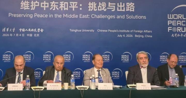 世界和平论坛丨新安全机制、霍尔木兹海峡、两国方案:中东持久和平的关键在哪里